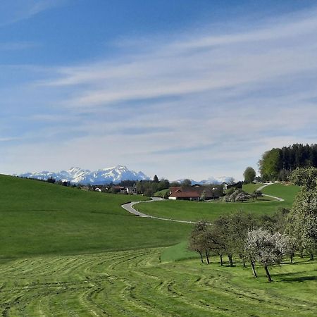 Ferienwohnung Pusteblume Neukirch  Zewnętrze zdjęcie