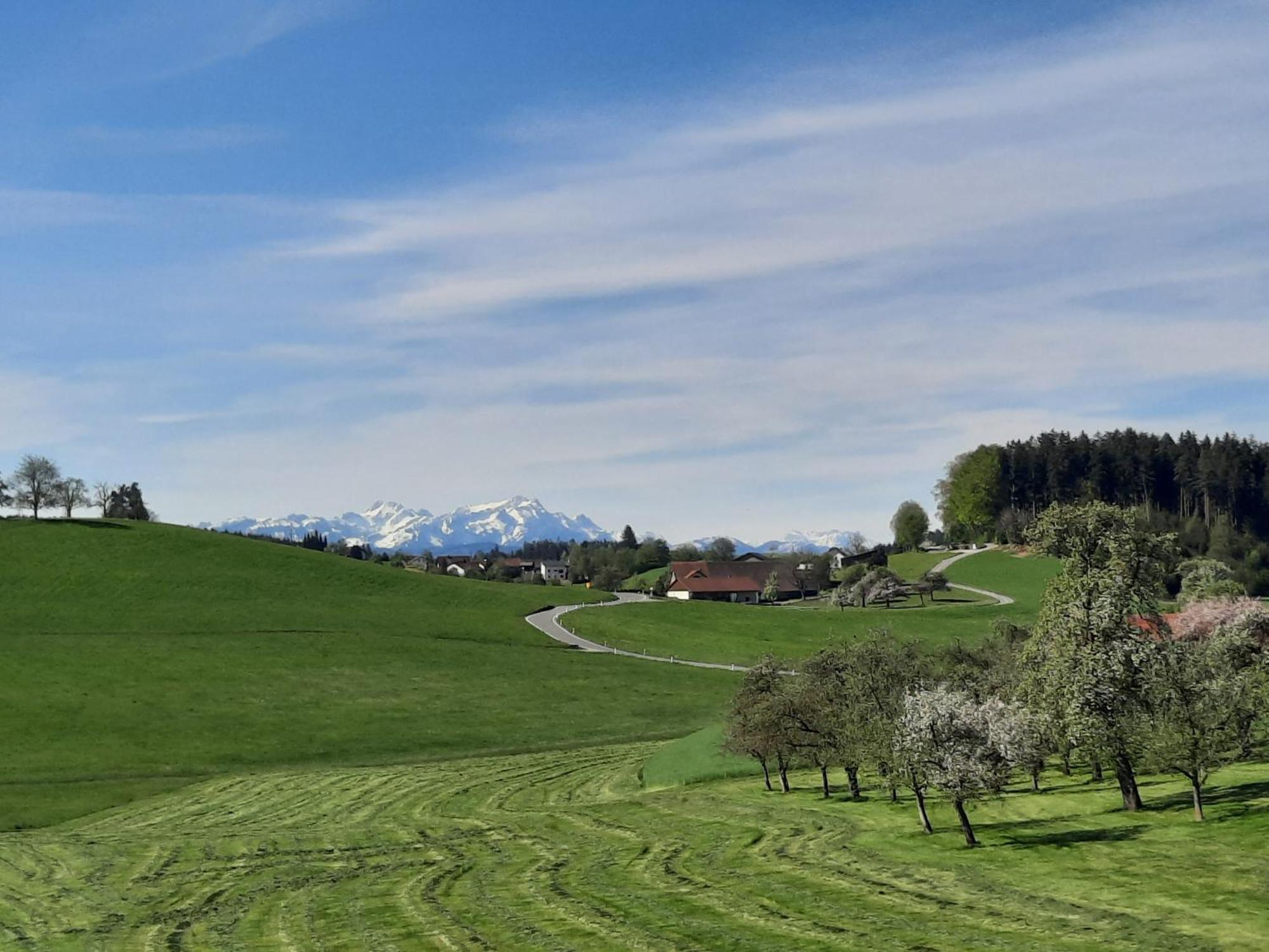 Ferienwohnung Pusteblume Neukirch  Zewnętrze zdjęcie